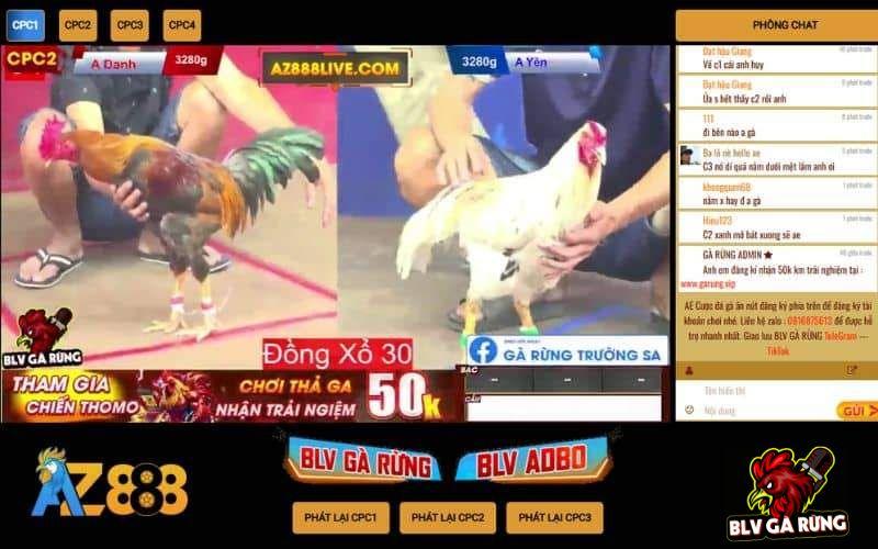 Xem trực tiếp đá gà được BLV Gà Rừng bình luận có nhiều lợi ích