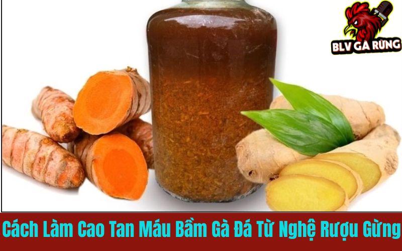 Cách làm cao tan máu bầm từ nghệ rượu và gừng Cách làm cao tan máu bầm từ nghệ rượu và gừng