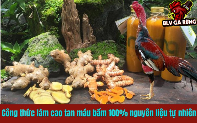 Công thức làm cao tan máu bầm 100% nguyên liệu tự nhiên Công thức làm cao tan máu bầm 100% nguyên liệu tự nhiên