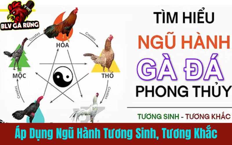 Đặt cược bất bại theo phong thủy ngũ hành Đặt cược bất bại theo phong thủy ngũ hành