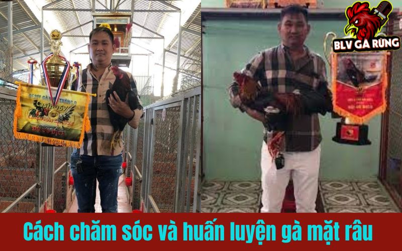 Gà mặt râu và những trận đấu kinh điển của anh Mít Trà Cú