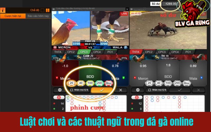 Đừng đặt cược mù quàng khi chưa hiểu luật chơi và thuật ngữ Đừng đặt cược mù quàng khi chưa hiểu luật chơi và thuật ngữ