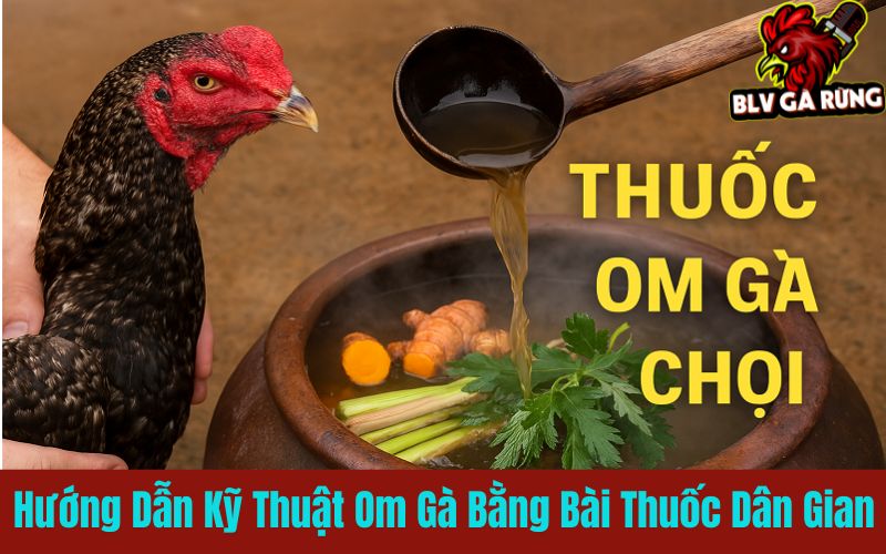 Om gà đúng cách giúp gà khỏe mạnh tăng sức bền