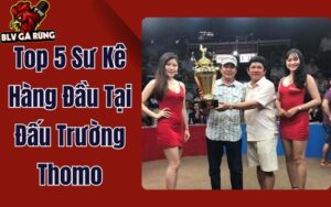 Top 5 Sư Kê Hàng Đầu - Đang Thống Trị Tại Đấu Trường Thomo 2025
