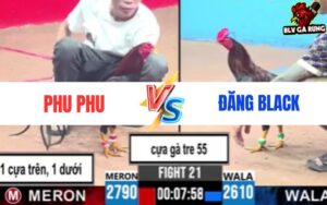 Trận 21 Đá Gà CPC3 Ngày 30/5/2025 - Phu Phu Vs Đăng Black