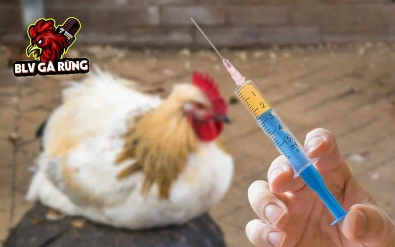 Dùng các loại thuốc đặc trị bệnh hen ở gà