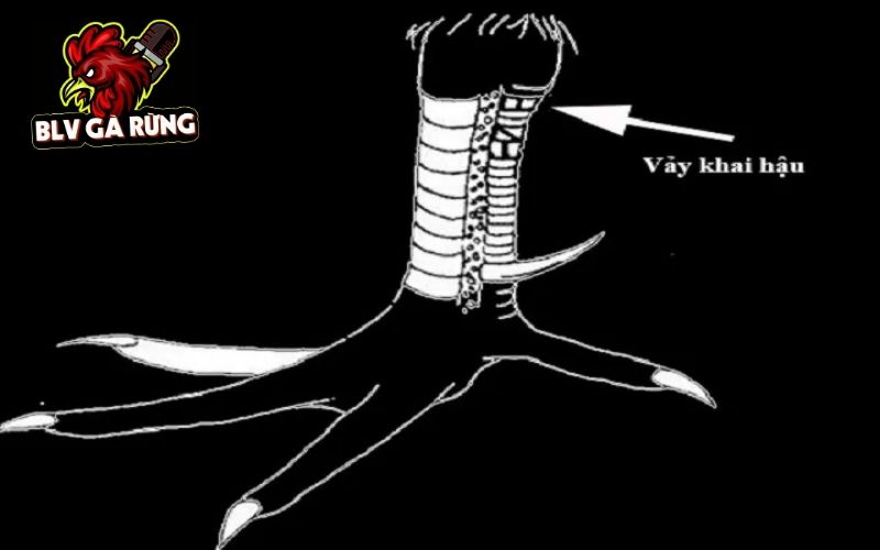 Những đặc điểm nhận biết Vảy Khai Hậu Những đặc điểm nhận biết Vảy Khai Hậu